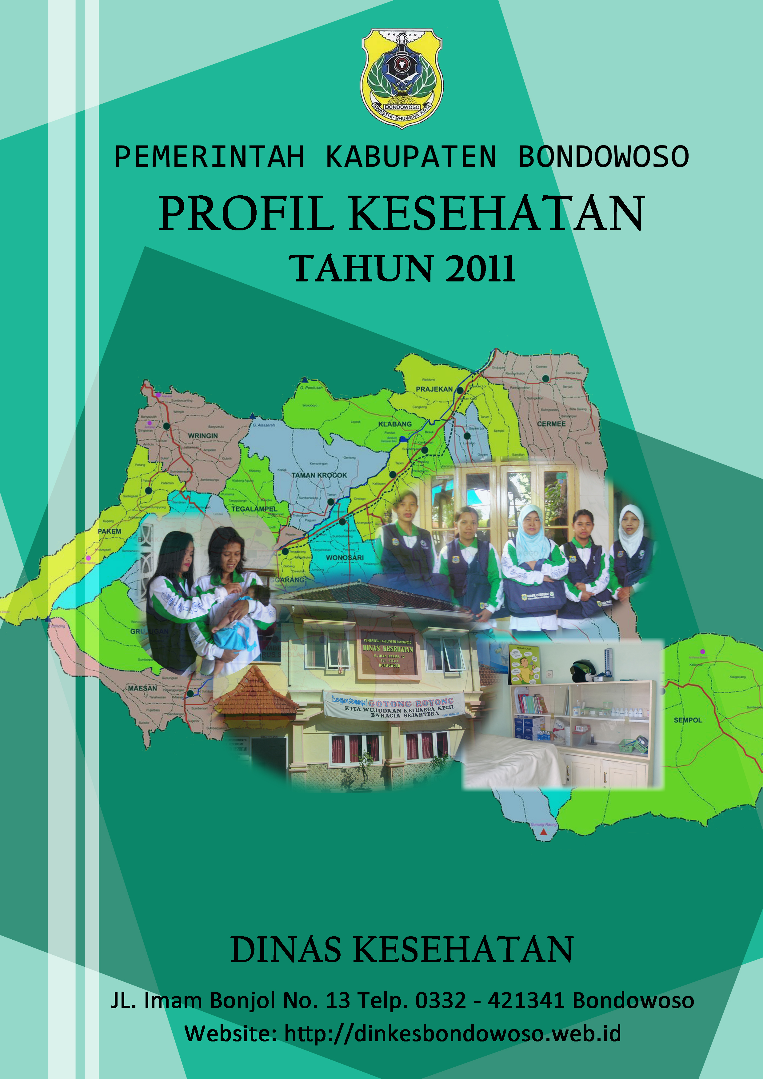 cover profil 2011.png